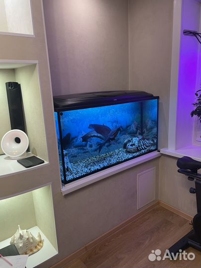 Аквариум 300л