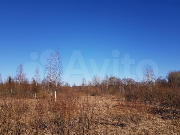 Участок 4 га (СНТ, ДНП)