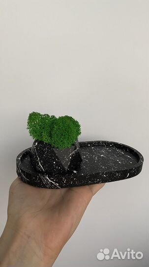 Декор поднос кашпо со мхом