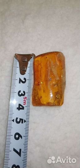 Янтарь, инклюзы