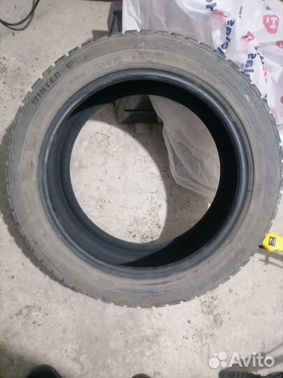 Delinte Winter WD6 215/50 R17 95H