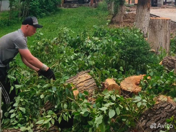 Дрова с доставкой