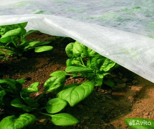 Агроспан спанбонд укрывной материал