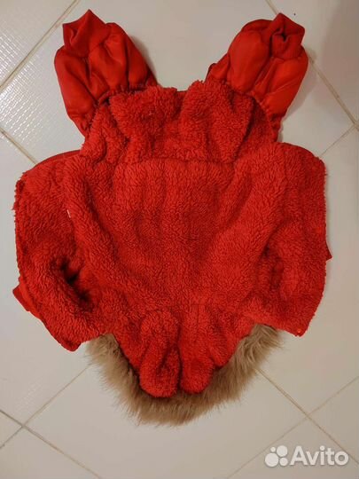 Товары для животных