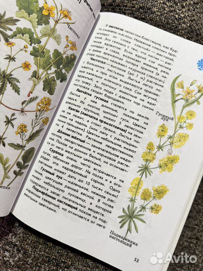 Атлас-определитель 