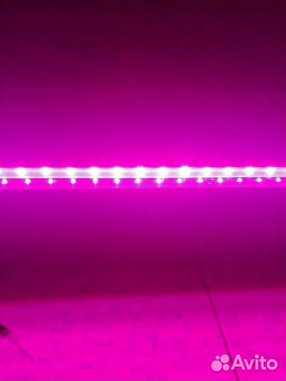 Фитолампа для растений