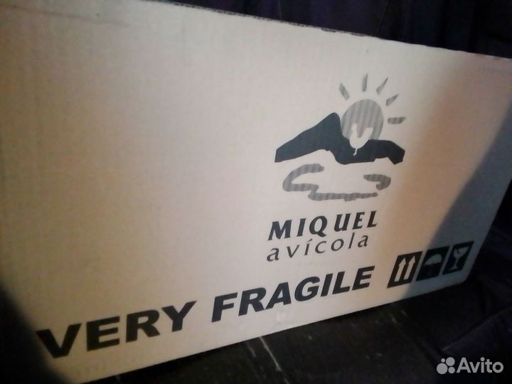 Инкубационное яйцо бройлера росс 308 Венгрия