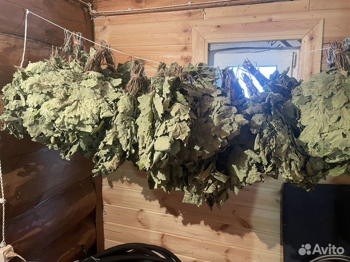 Веники дубовые