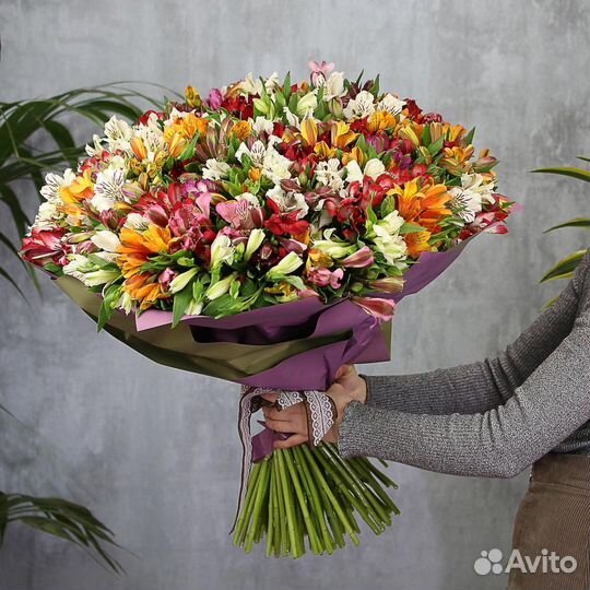 Букет 162 “101 Альстромерия