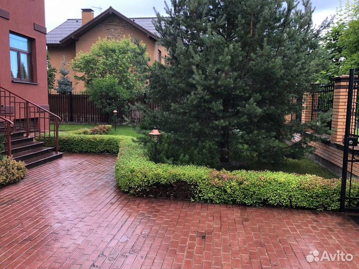 Стрижка кустов