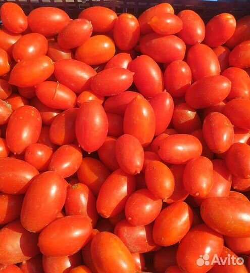 Помидоры