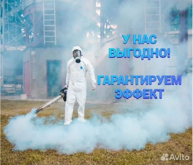 Уничтожить тараканов клопов мышей дезинфекция