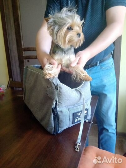 Перевозка для собак и кошек в машину