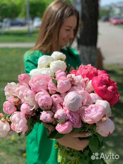 Пионы в наличии