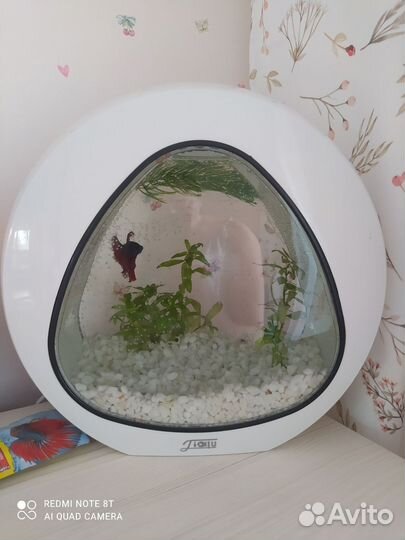 Аквариум 4л