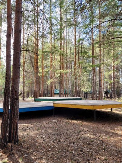 Дом 36 м² на участке 3,3 га