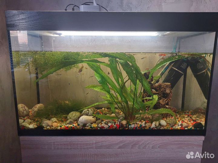 Аквариум на 120 литров