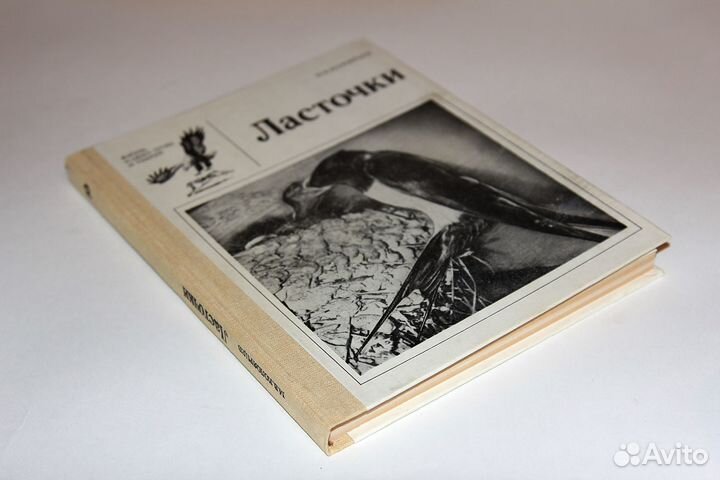 Колоярцев М.В. – Ласточки