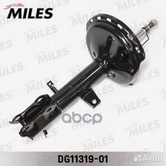 DG11319-01 DG11319-01 Miles