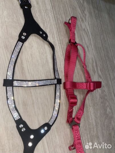 Шлейка для собаки