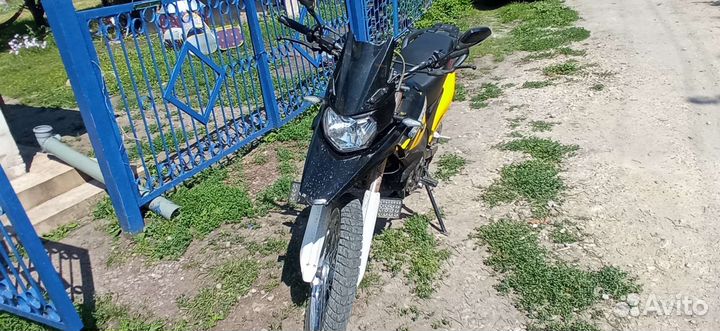 Irbis xr250r