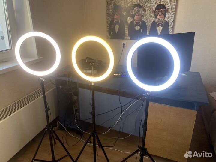 Кольцевая лампа 33 см + Штатив в подарок