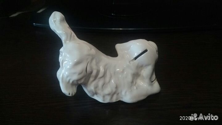 Собака