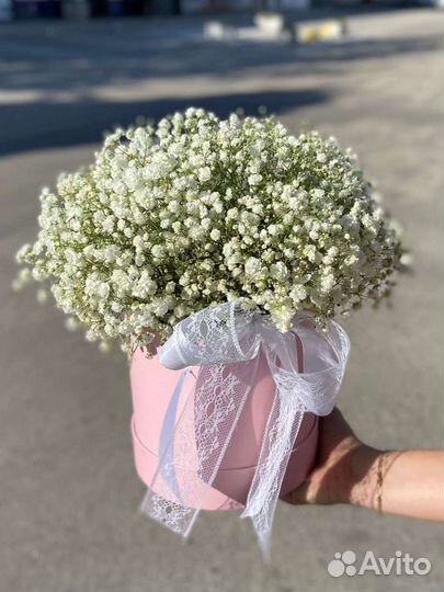 Композиции из гипсофилы