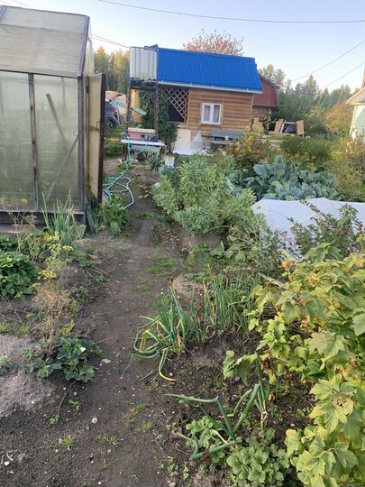 Участок 6 сот. (СНТ, ДНП)