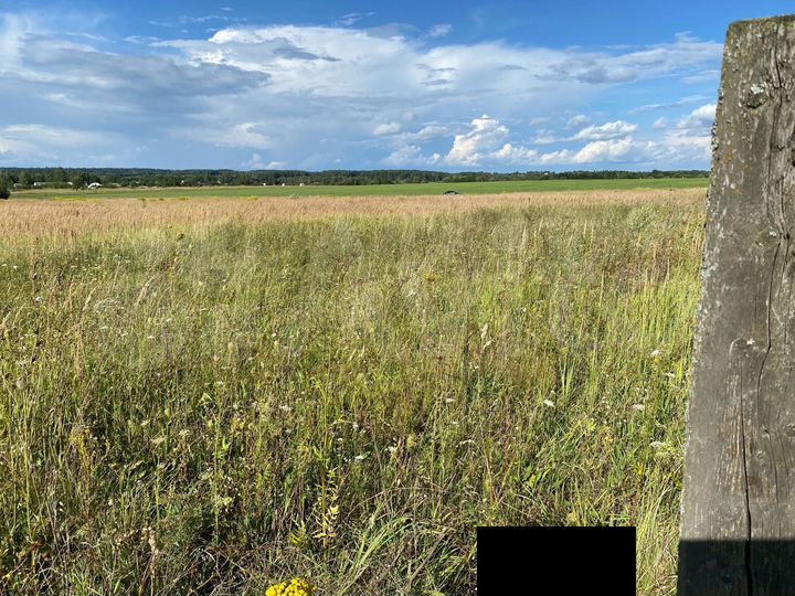 Участок 8 сот. (ИЖС)