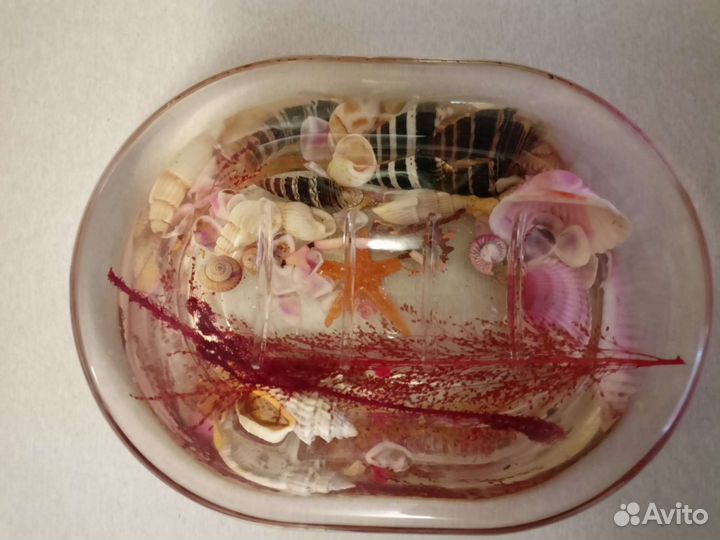 Морские ракушки и мыльница с ракушками