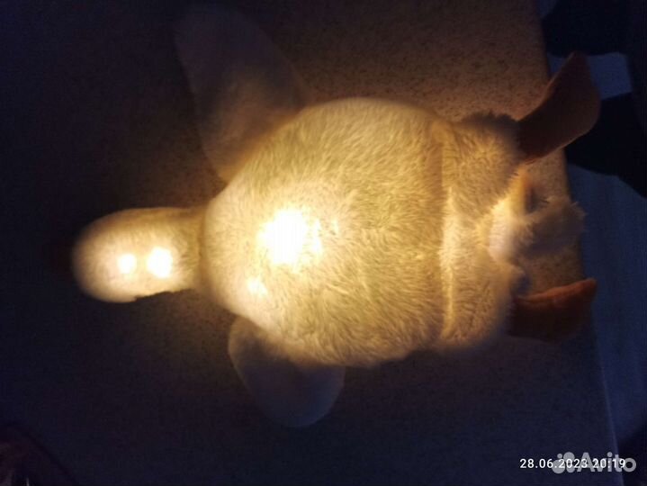 Гусь обнимусь