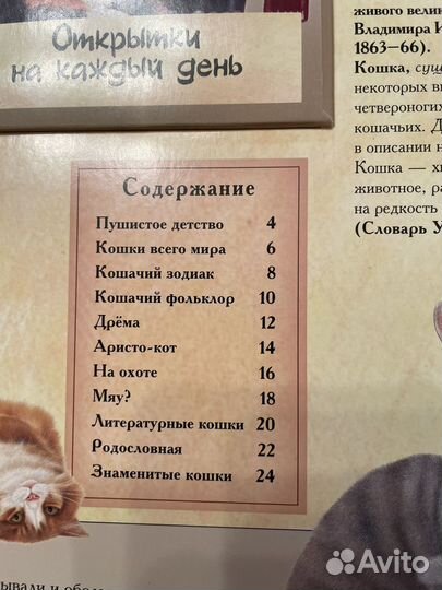 Книга. Кошки