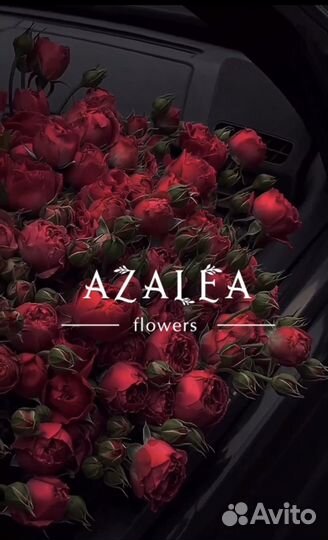 Разработка логотипа фирменный стиль брендинг