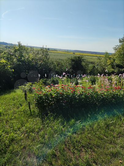 Дом 20,4 м² на участке 7 сот.