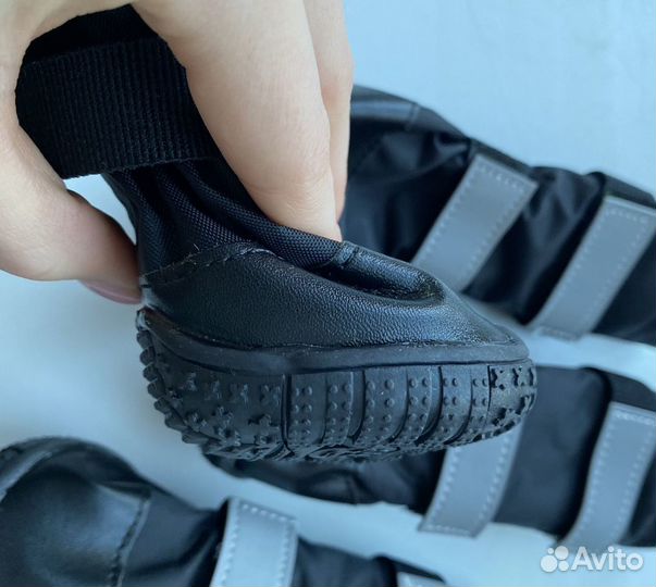 Обувь для собак