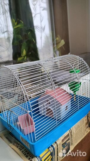 Клетка для хомяка