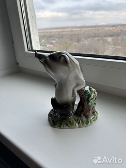 Кабан, лошадь