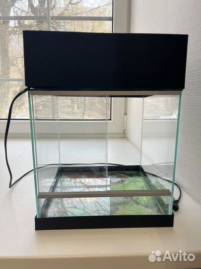 Террариум для рептилий