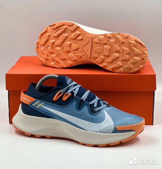 Кроссовки Nike Pegasus Trail 2 мужские g-7953