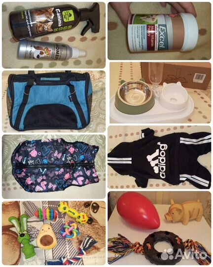 Вещи для собак