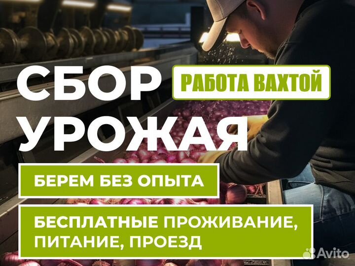 Сбор урожая. ТК устройство