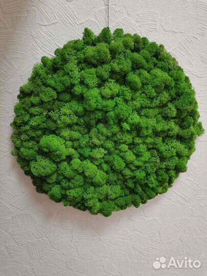 Панно из стабилизированного мха