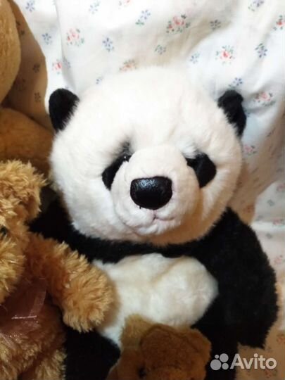 Медведи коллекционные