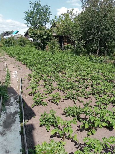 Дом 408 м² на участке 4 сот.