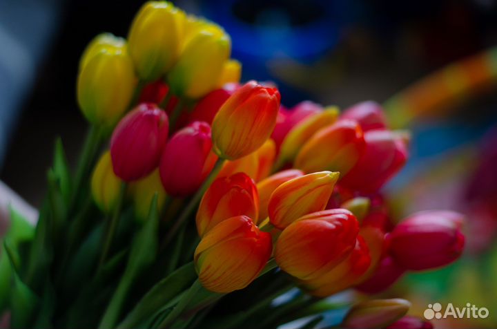 Тюльпаны искусственные силиконовые