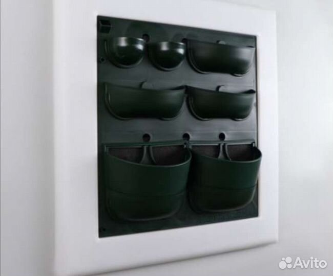 Фитокартина