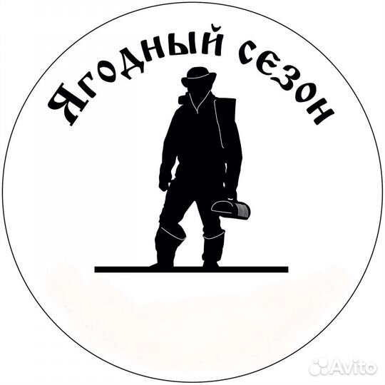 Морошка свежая