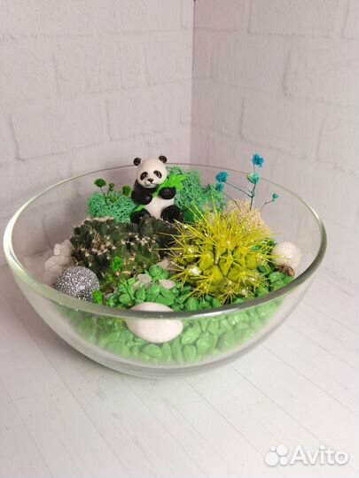 Флорариум, суккуленты, ваза, сувениры