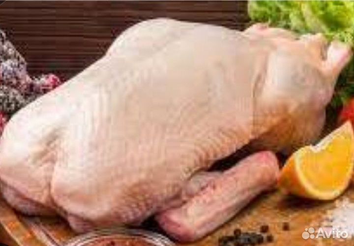 Утка домашнее мясо